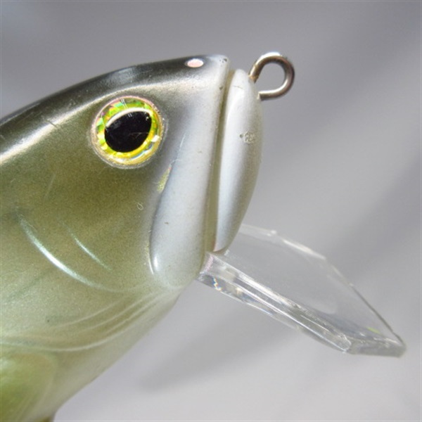 ダウズスイマー２２０ＳＦ